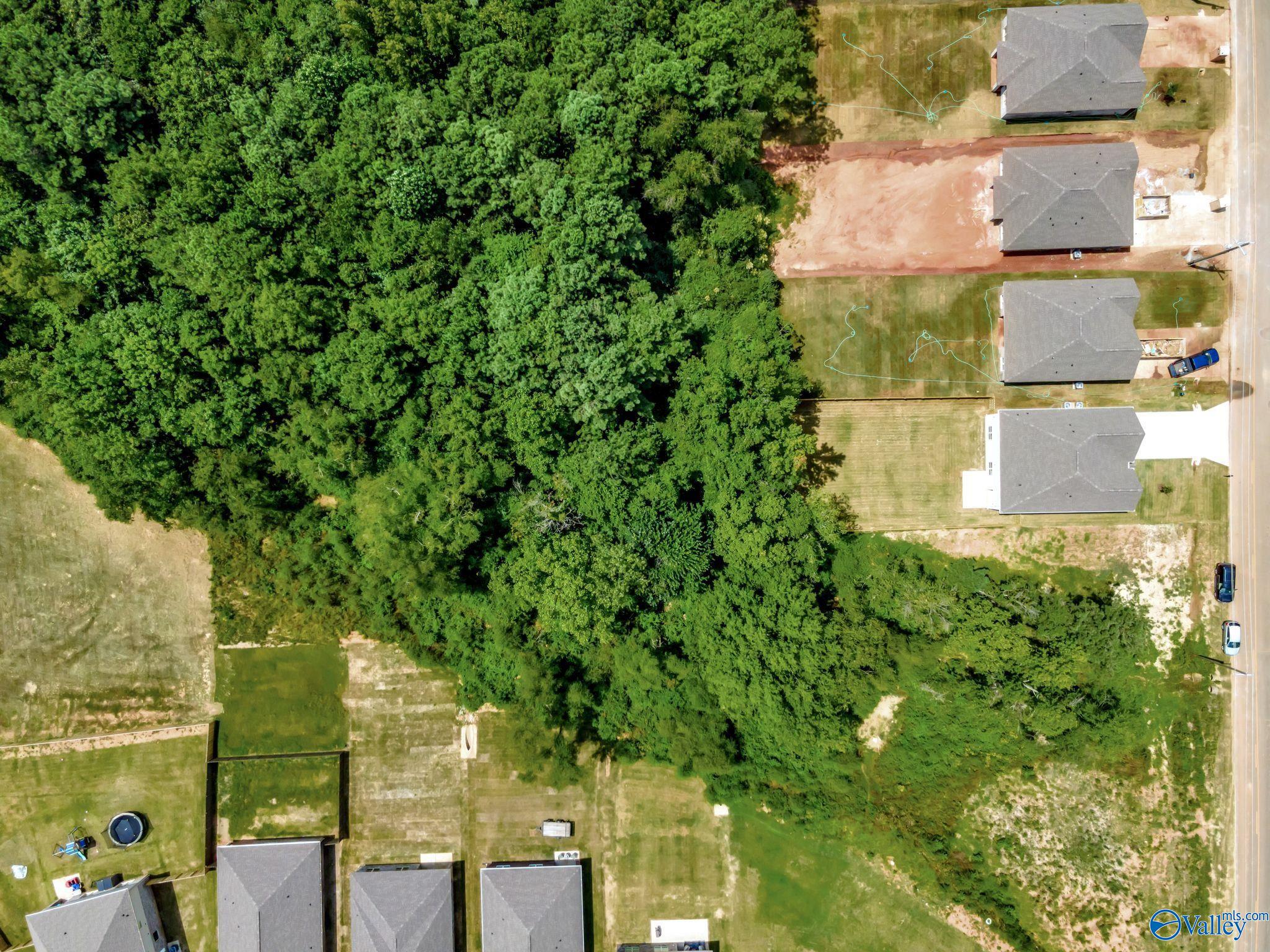 27318 Barksdale Road, Athens, Alabama image 48