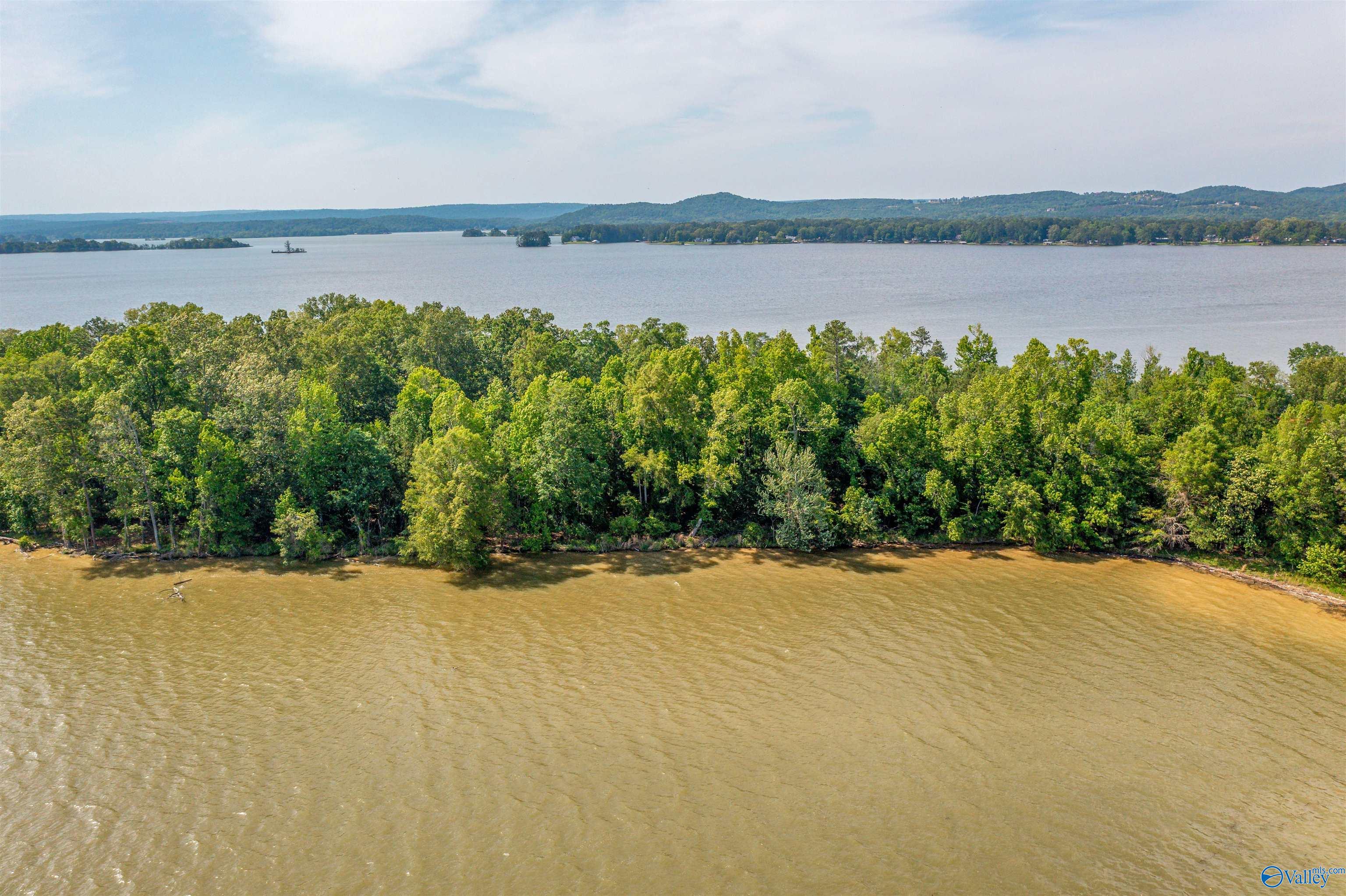 FF Moneys Bend Road, Cedar Bluff, Alabama image 1