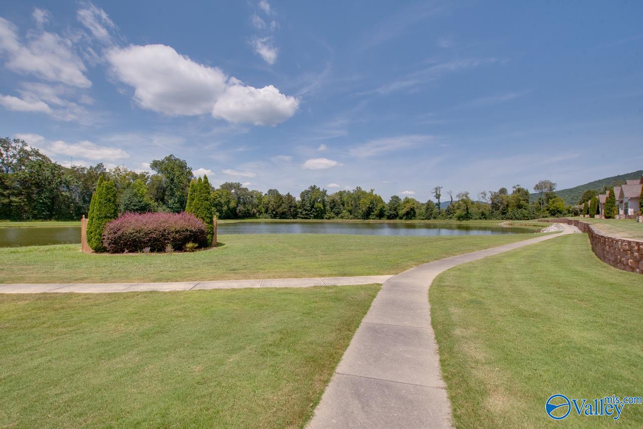 2 Cedar Holly Lane, Brownsboro, Alabama image 36
