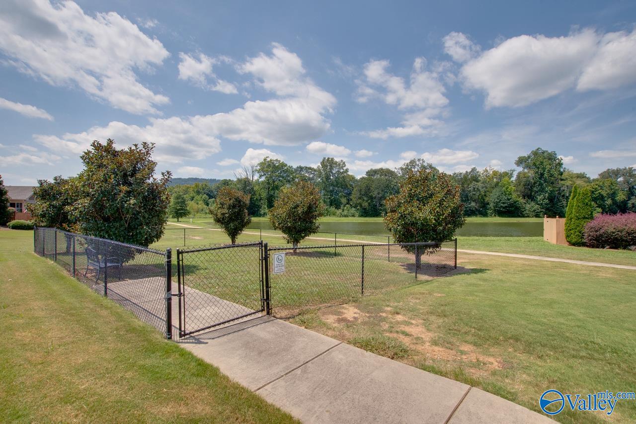2 Cedar Holly Lane, Brownsboro, Alabama image 35