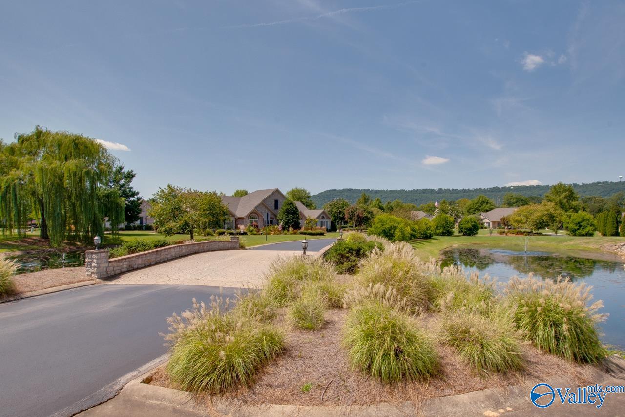 2 Cedar Holly Lane, Brownsboro, Alabama image 32