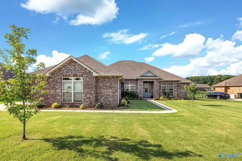 Homes For Sale - 159 Inspirational Drive<br/> Meridianville, AL 35759
