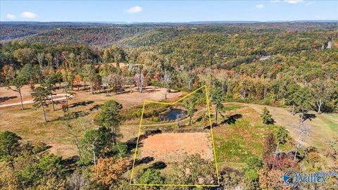 Vacant Land For Sale - 474 Mccorkle Mountain Road<br/> Marshall County, Scottsboro, AL 35769