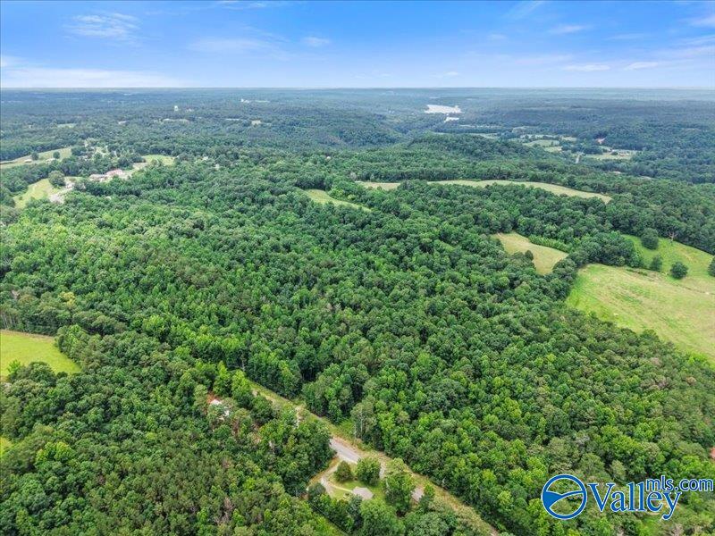 Photo 1 of 26 — 37.0 Acres County Road 940, Crane Hill, AL 35053
