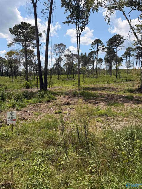 Vacant Land For Sale - LOT 1 County Road 158<br/> Centre, AL 35960