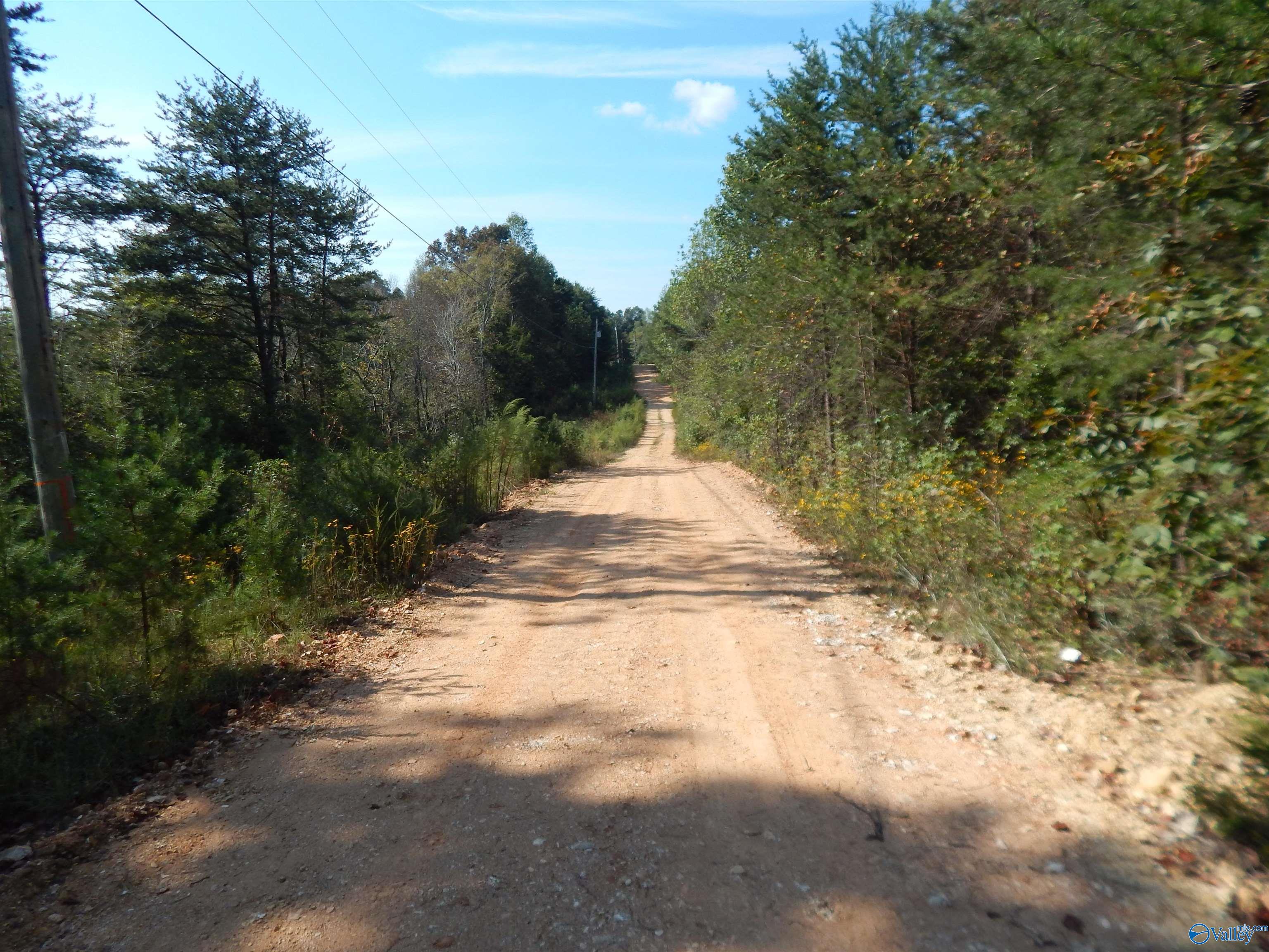 LOT 43 County Road 369, Fort Payne, Alabama image 1