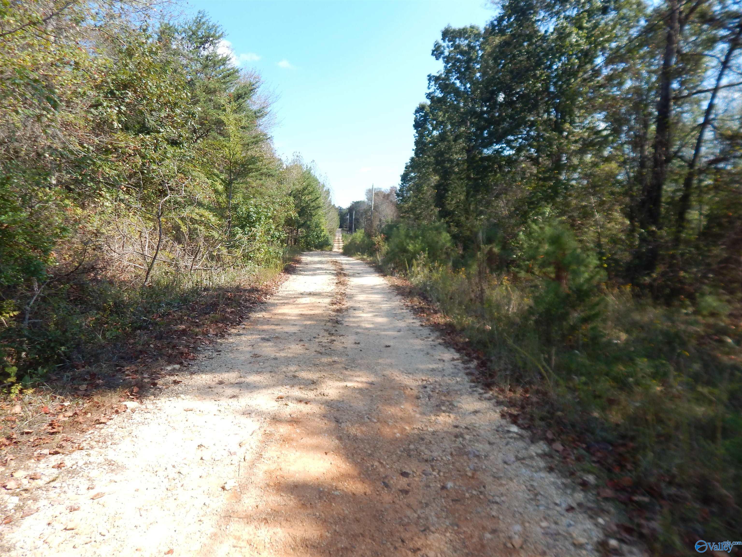 LOT 43 County Road 369, Fort Payne, Alabama image 9