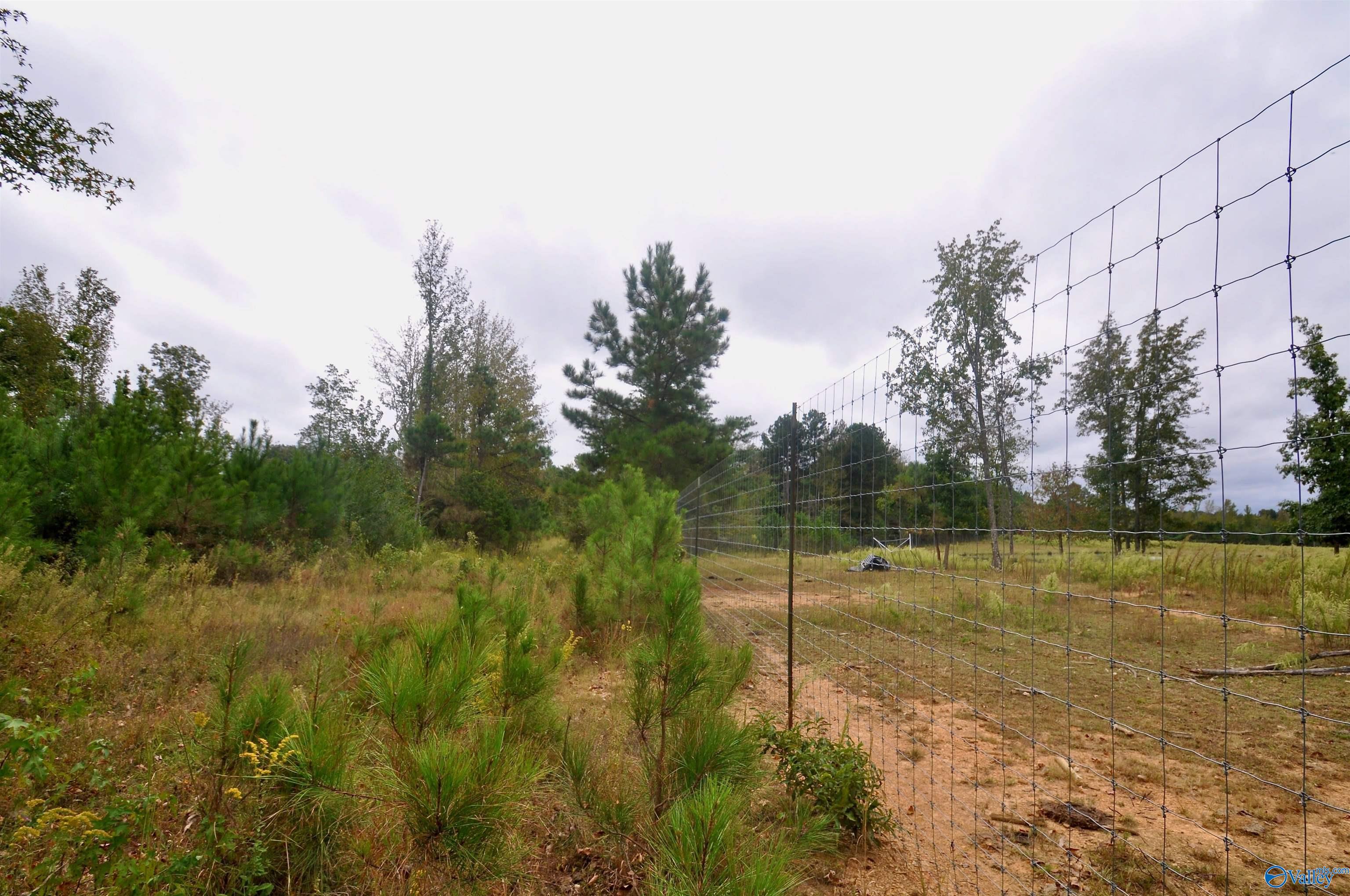 33 acres County Road 1101