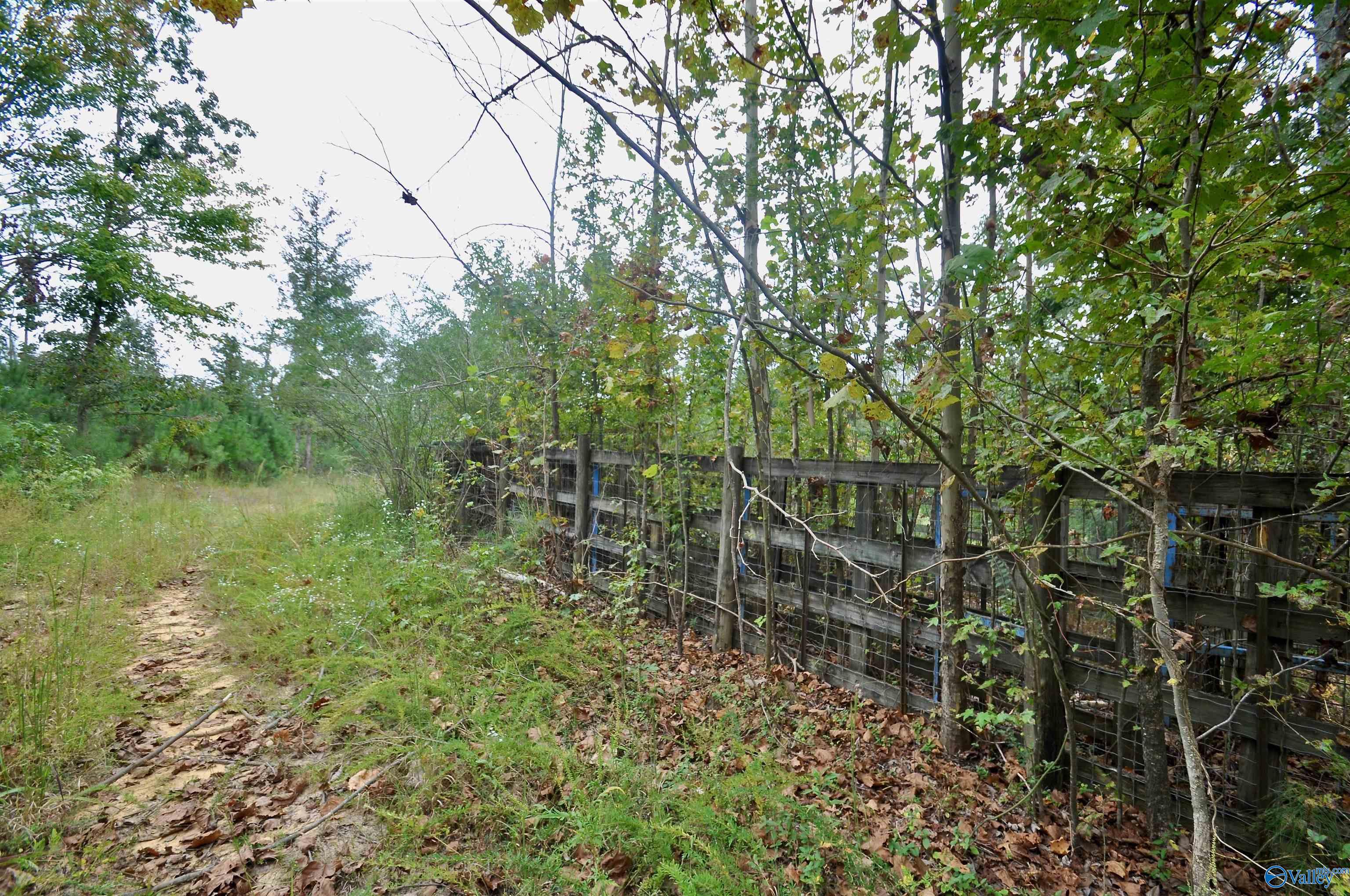 33 acres County Road 1101