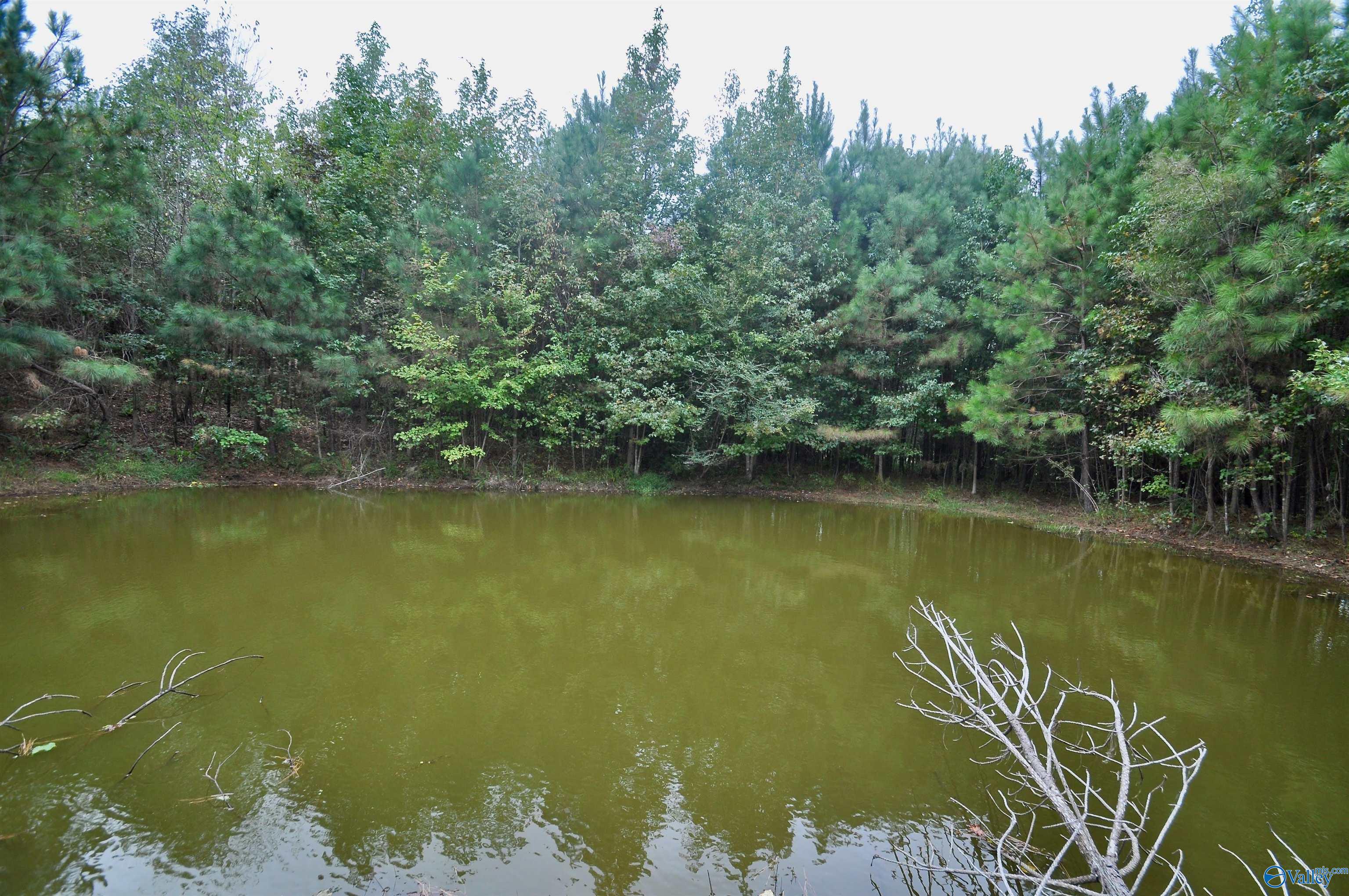 33 acres County Road 1101