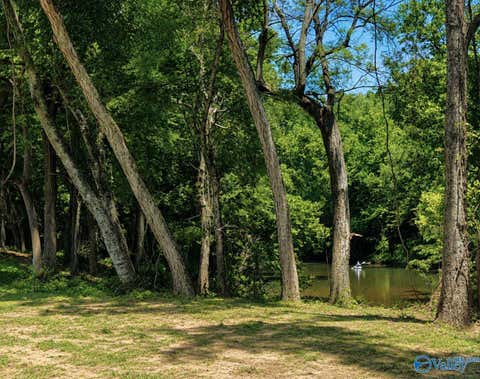 Vacant Land For Sale - LOT 35 County Road 336<br/> Piedmont, AL 36272