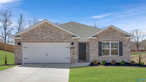 Homes For Sale - 60 Aurora Circle<br/> Fayetteville, TN 37334