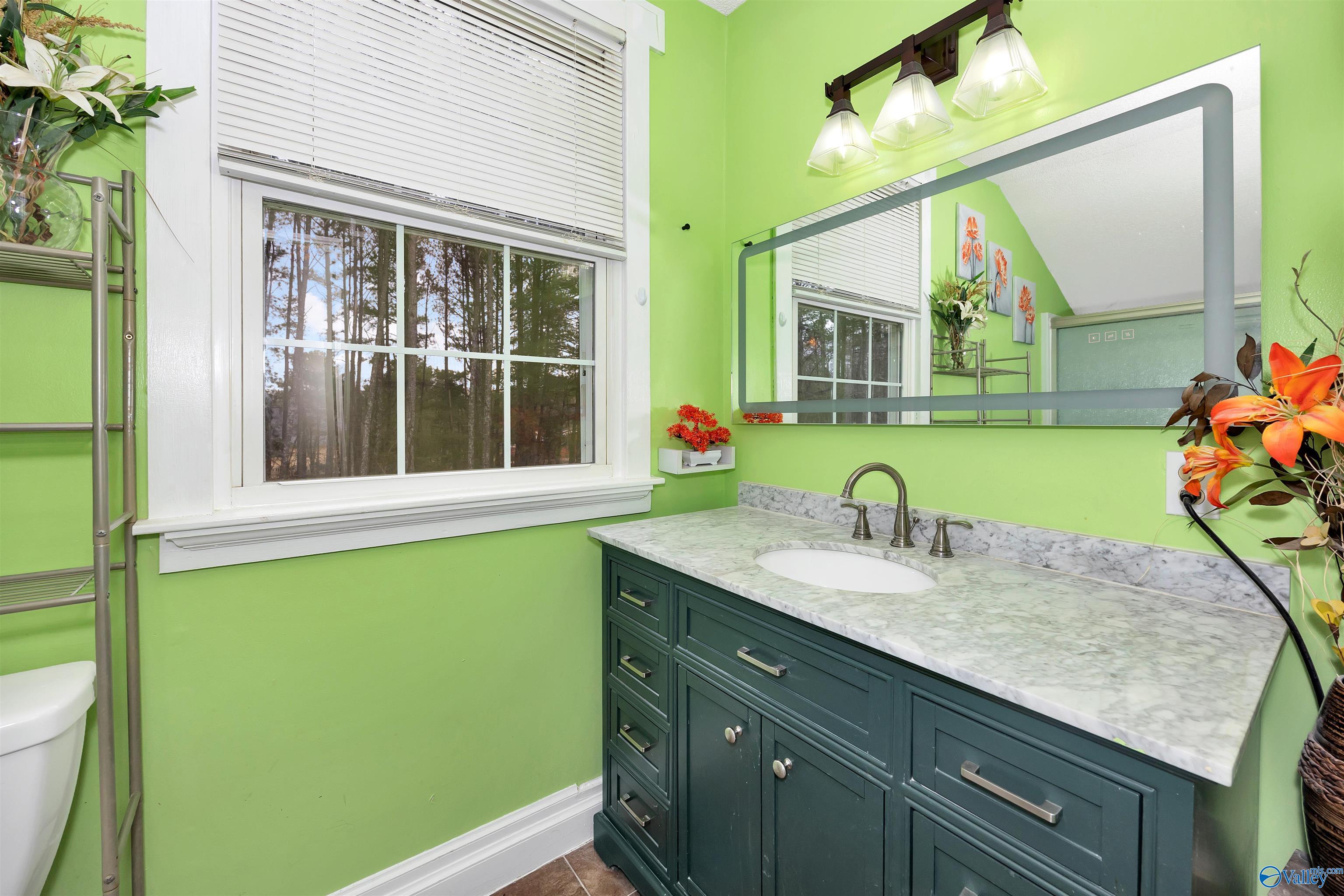 26628 Cedar Break Trail, Madison, Alabama image 20