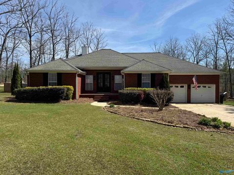 Photo of 190 County Road 461, Centre, AL 35960 (MLS # 21912272)