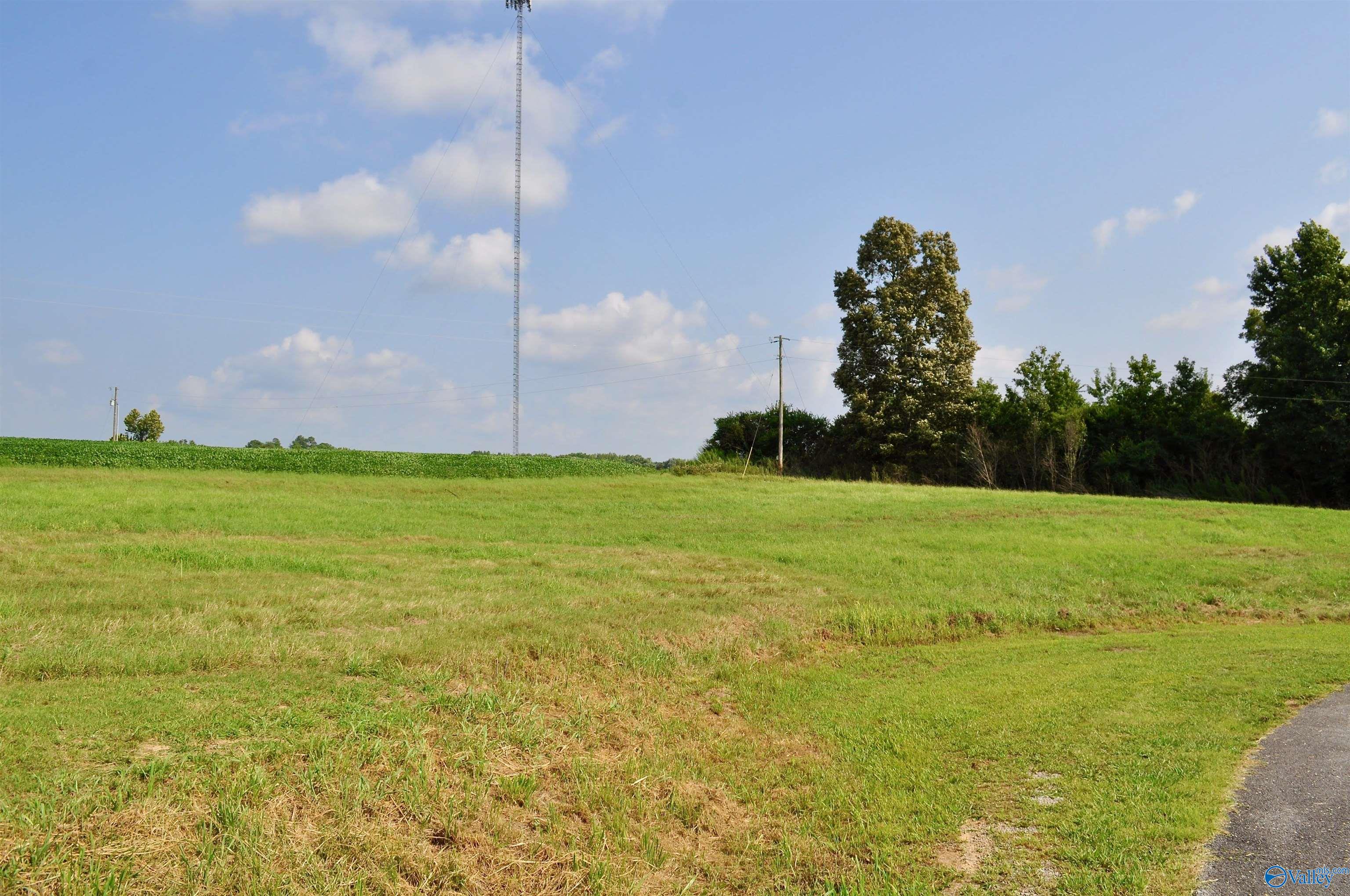 Lot 13 Tiffany Drive, Cullman, Alabama image 7