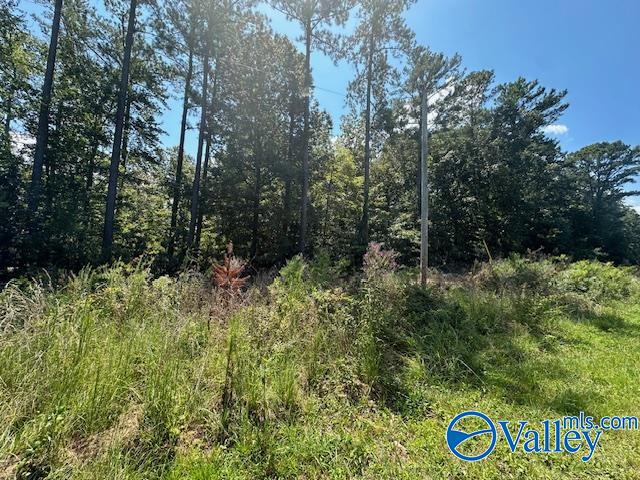 Lot 7 Armstrong Road, Cedar Bluff, Alabama image 2