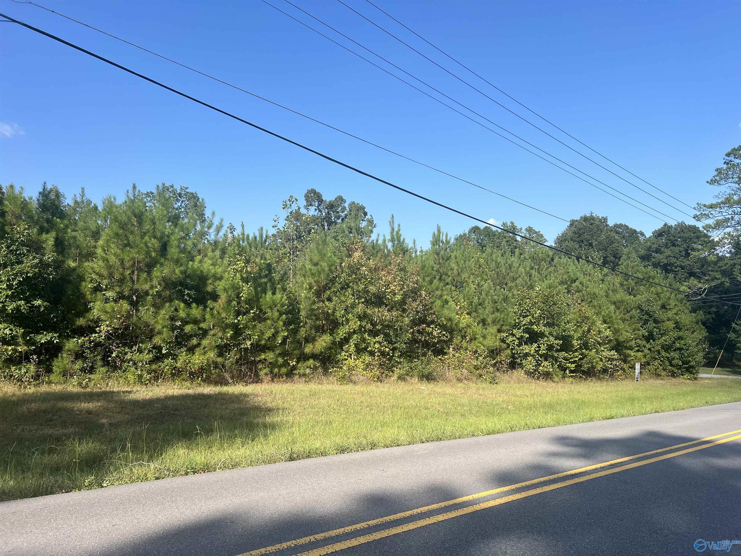 Lot 1 NE Hickory Hill Drive, Arab, Alabama image 2