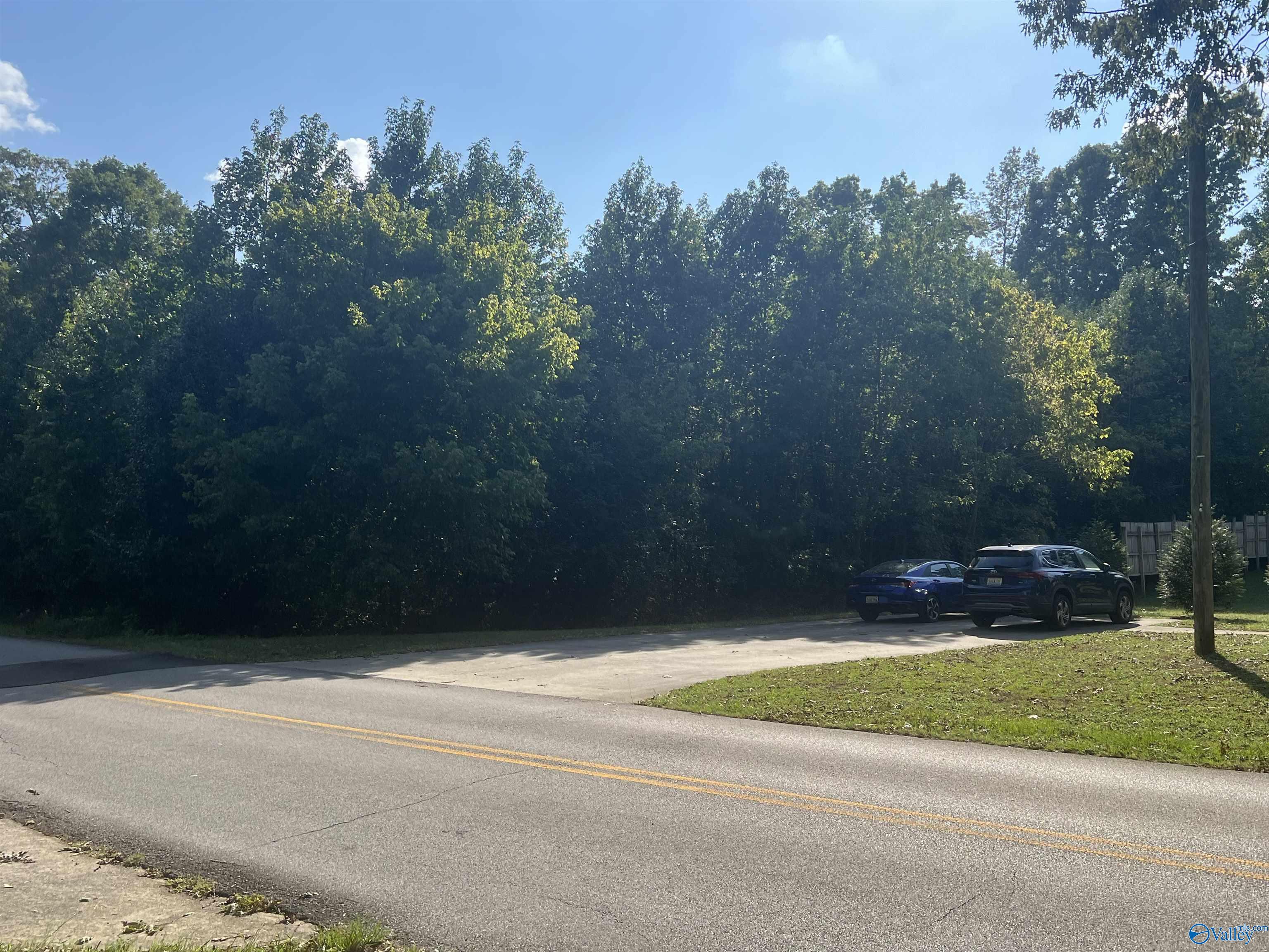 Lot 1 NE Hickory Hill Drive, Arab, Alabama image 11