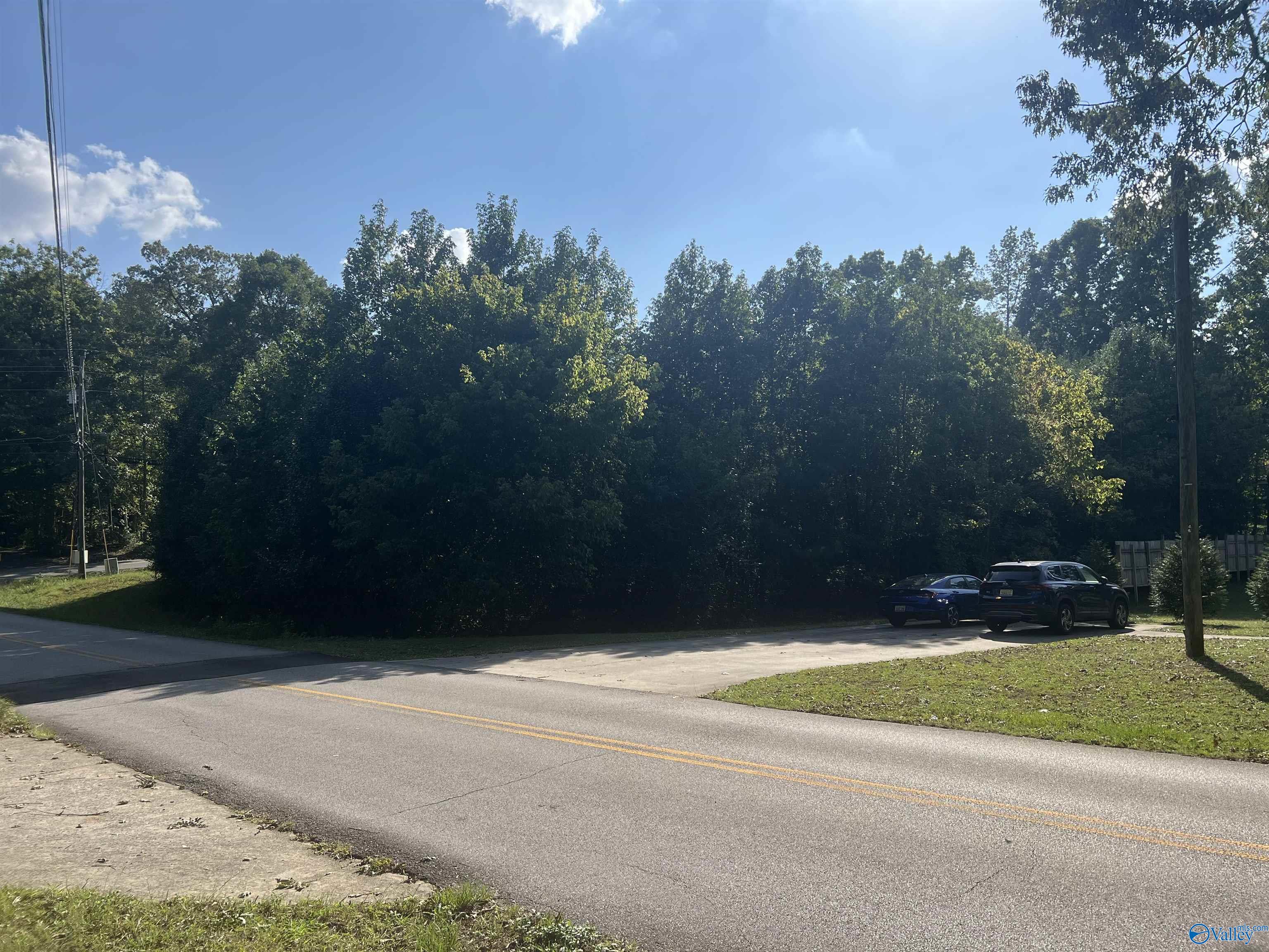 Lot 1 NE Hickory Hill Drive, Arab, Alabama image 12