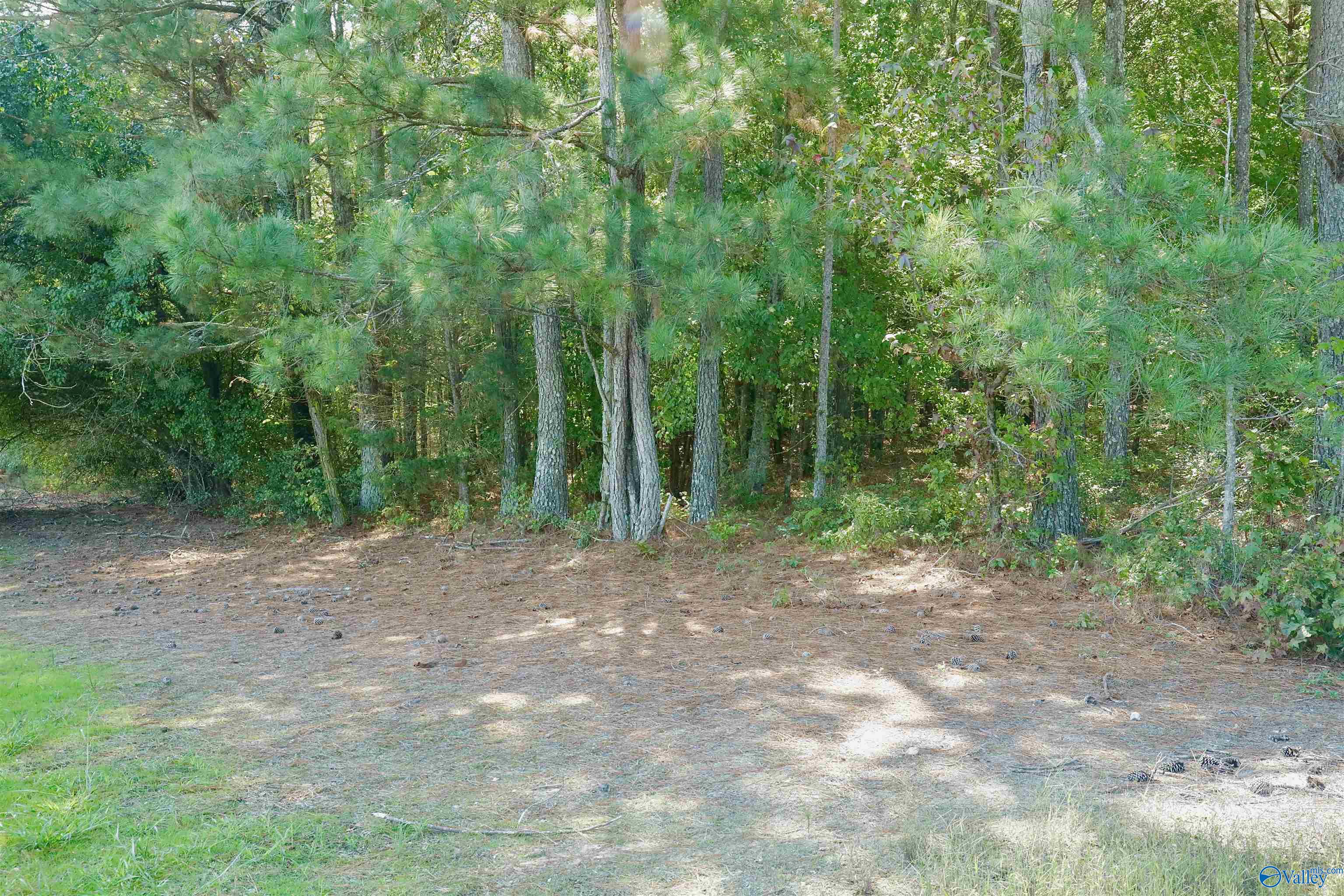 50 Acres Northwood Drive, Centre, Alabama image 7