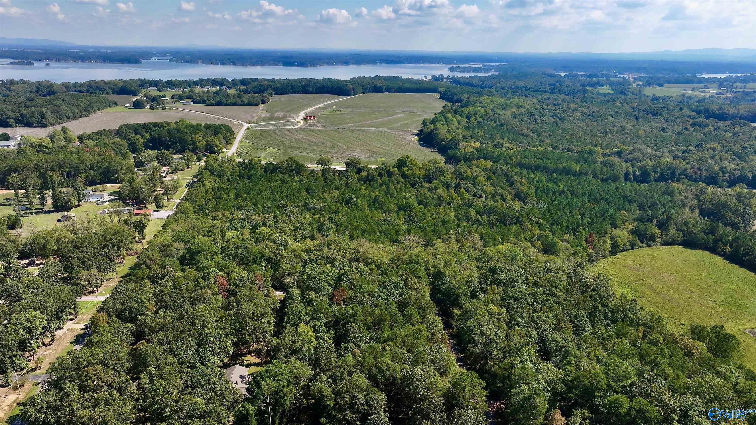 50 Acres Northwood Drive, Centre, Alabama image 24