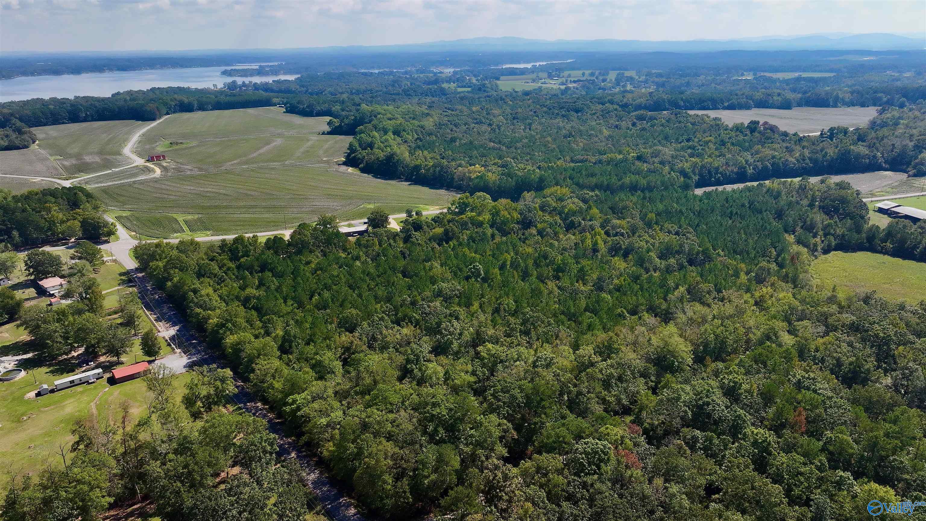 50 Acres Northwood Drive, Centre, Alabama image 20