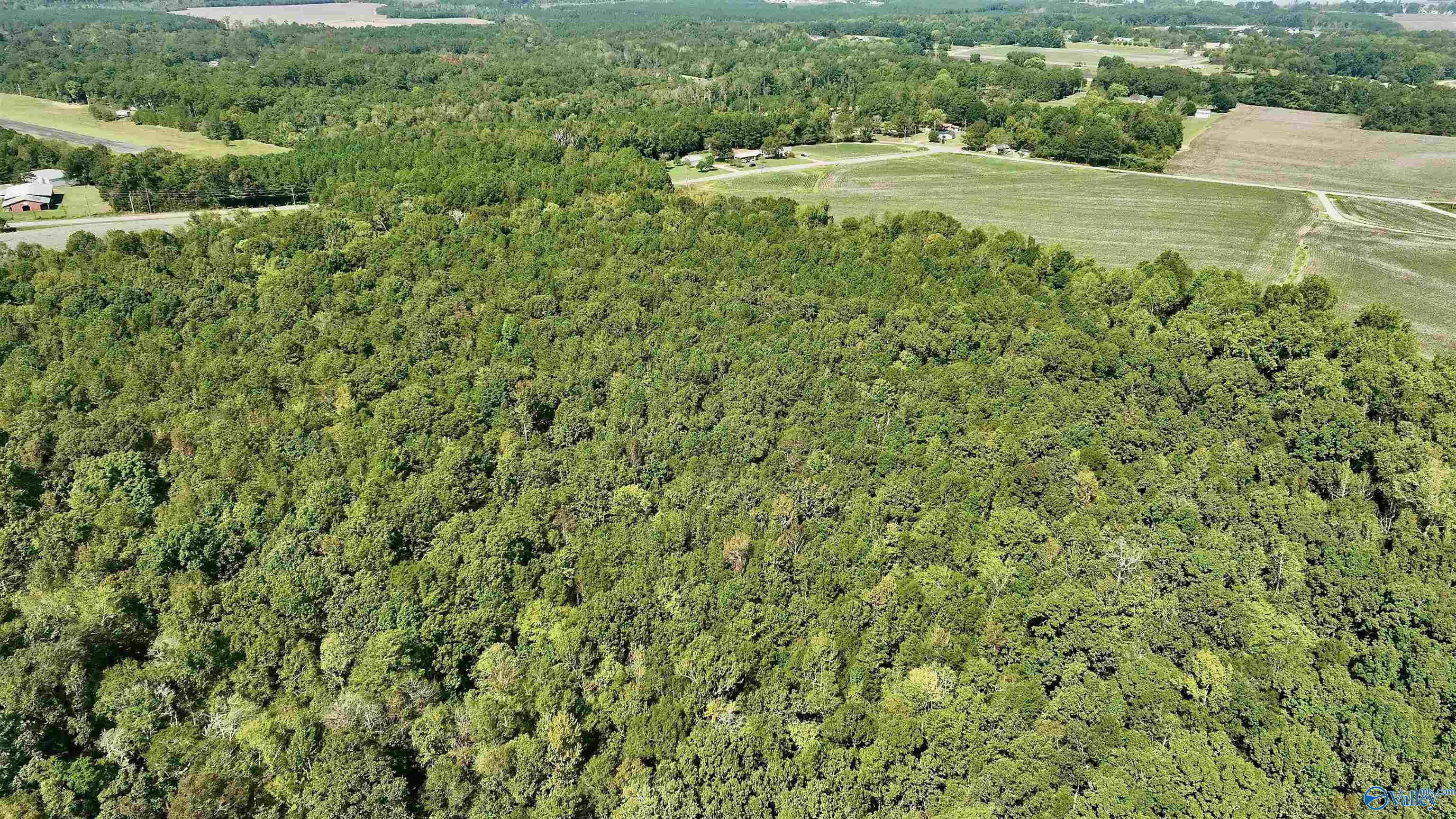 50 Acres Northwood Drive, Centre, Alabama image 21