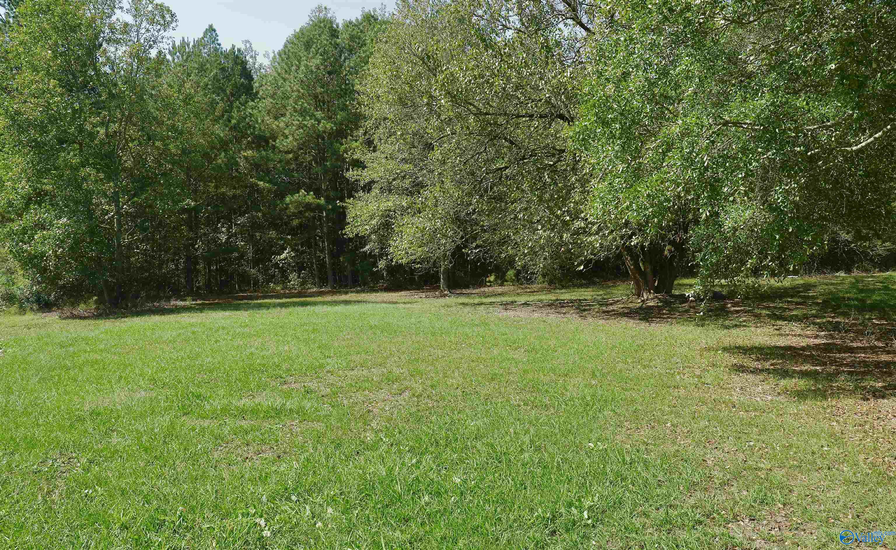 50 Acres Northwood Drive, Centre, Alabama image 15