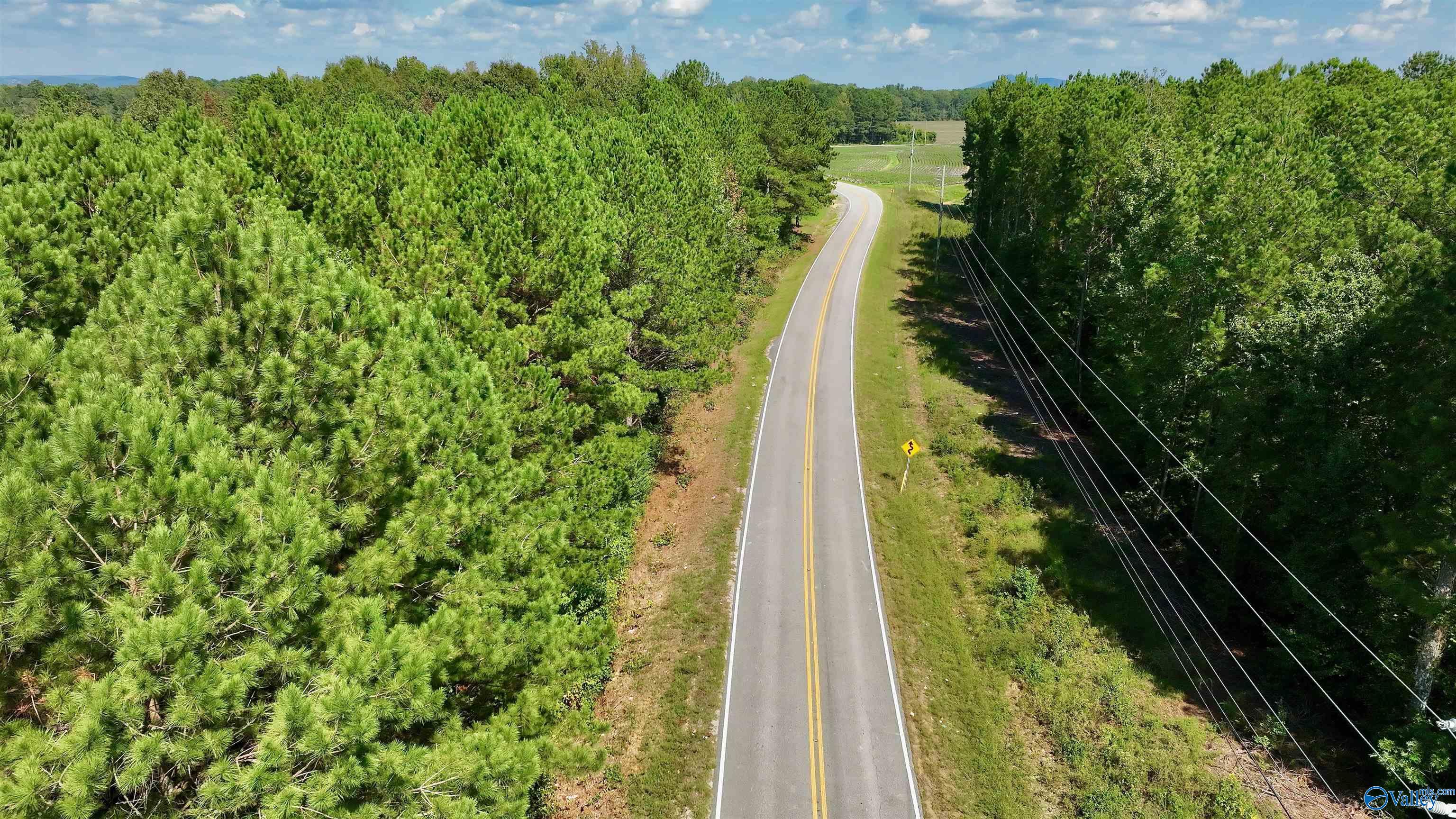 50 Acres Northwood Drive, Centre, Alabama image 29