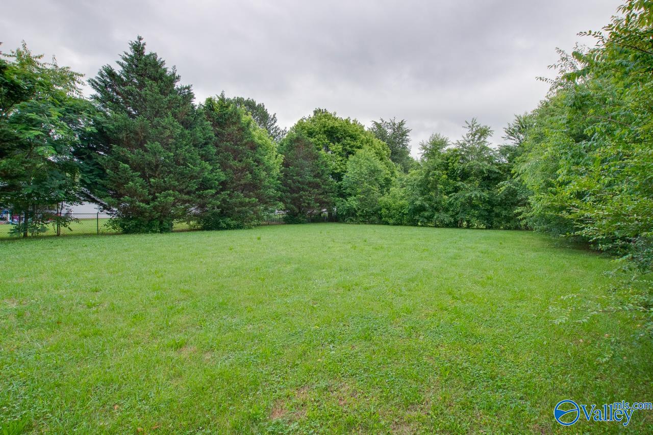1789 Mckee Road, Toney, Alabama image 20