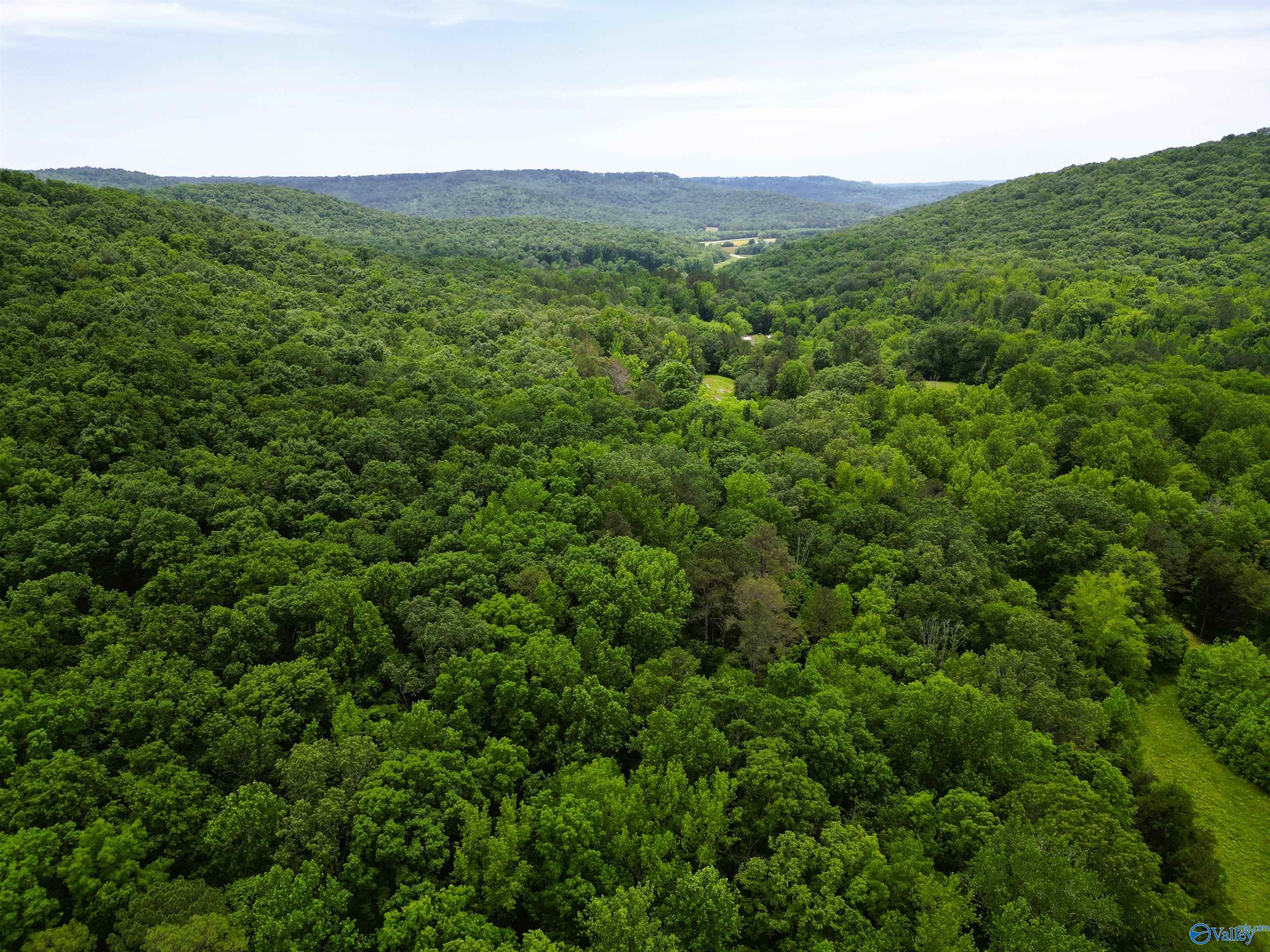 2600 Cathedral Caverns Road, Woodville, Alabama image 37