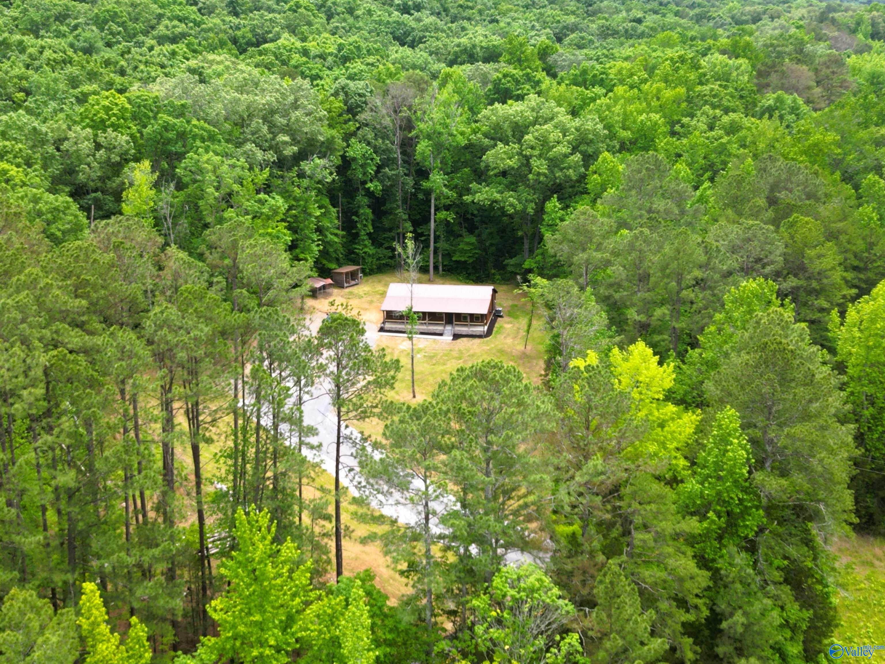 2600 Cathedral Caverns Road, Woodville, Alabama image 2