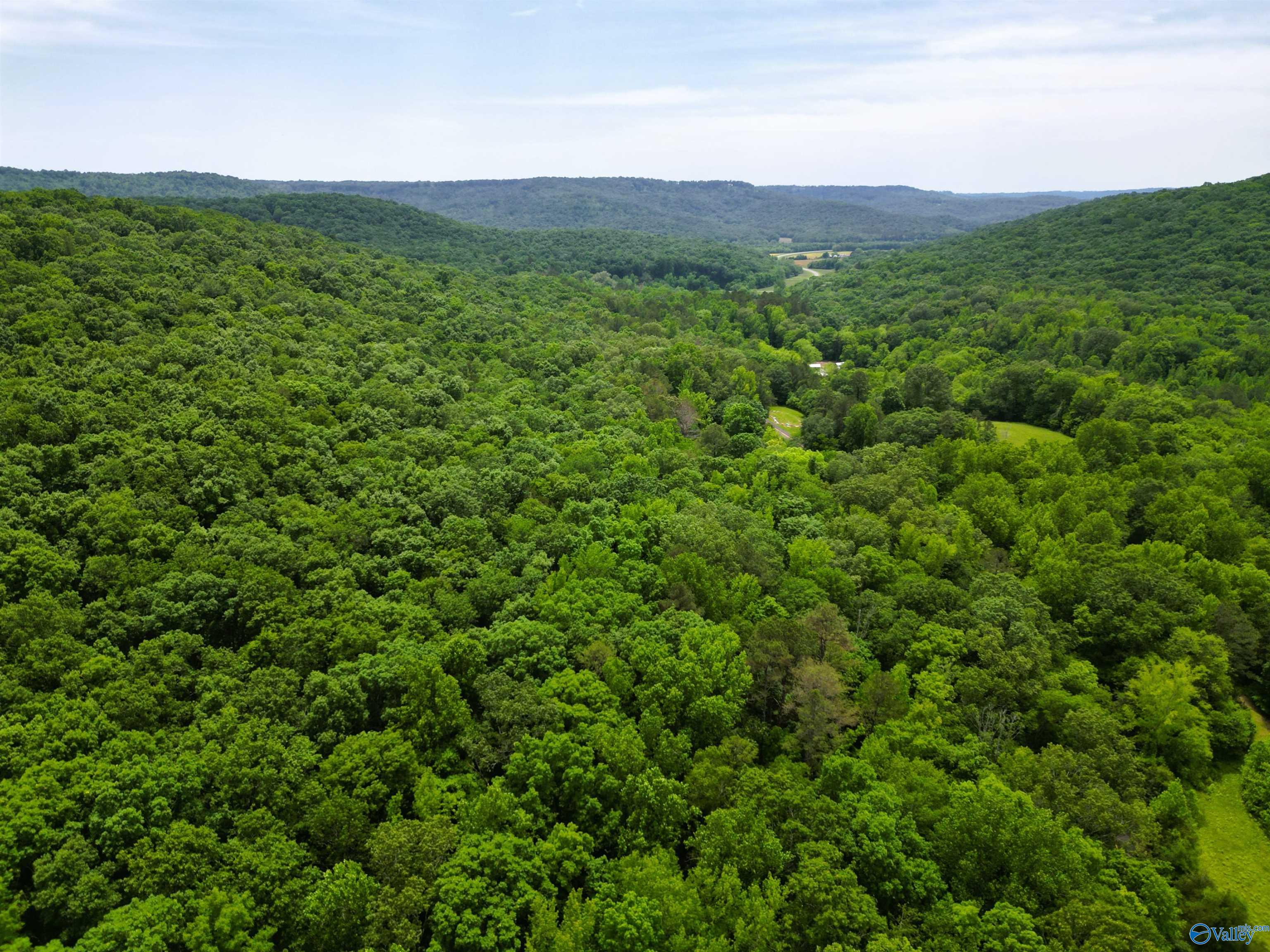 2600 Cathedral Caverns Road, Woodville, Alabama image 35