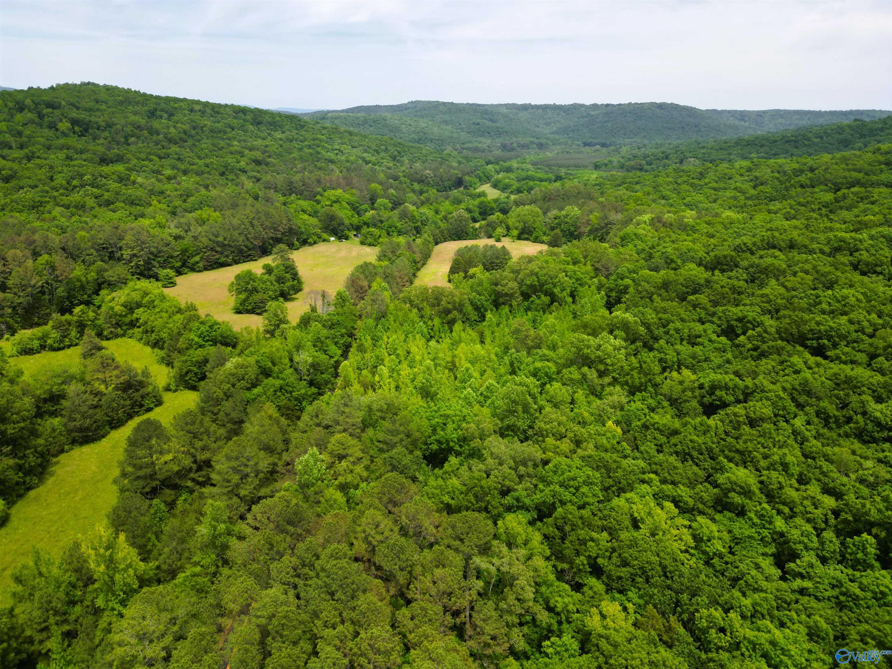 2600 Cathedral Caverns Road, Woodville, Alabama image 34