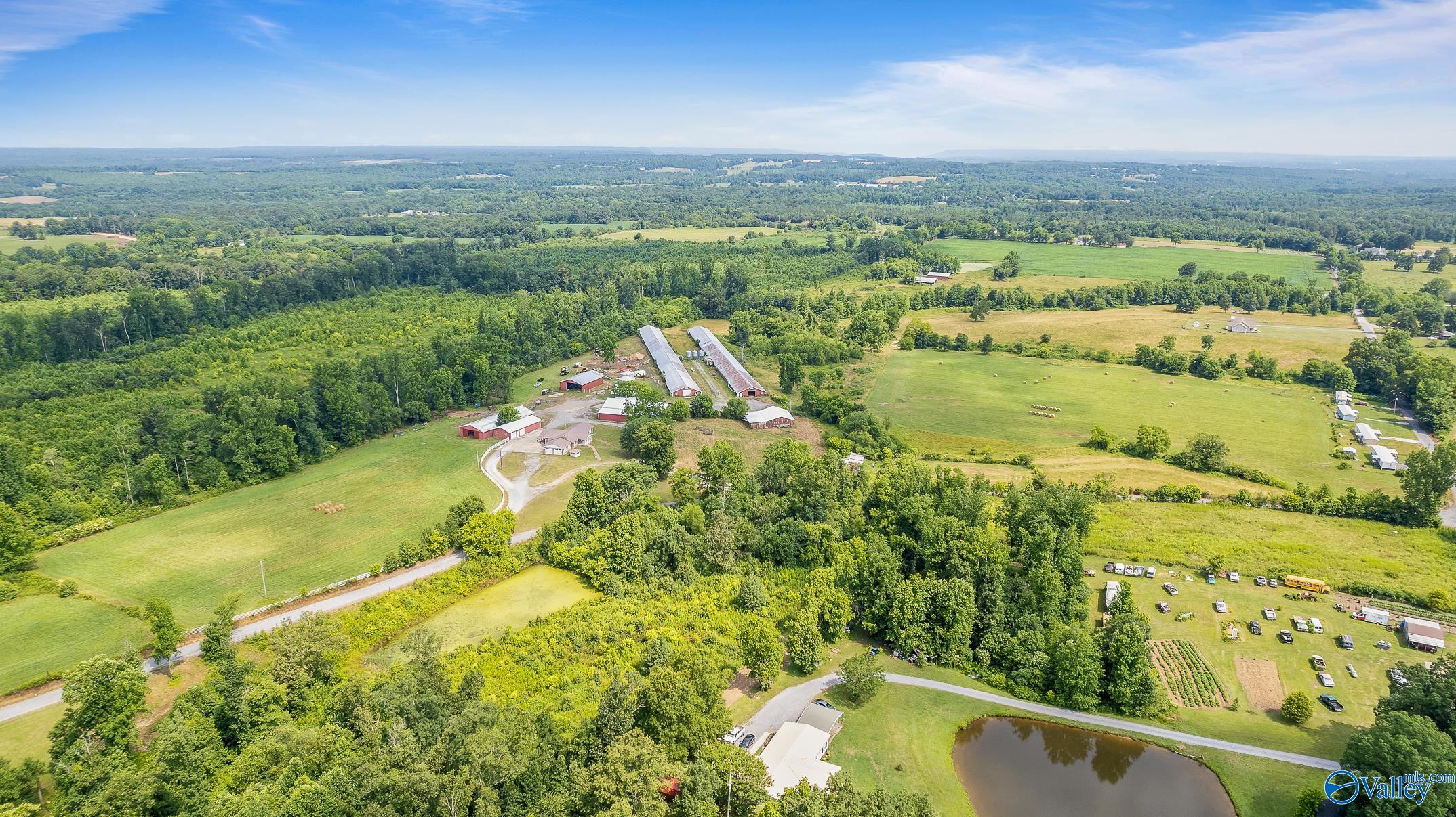 2265 County Road 782, Ider, Alabama image 8