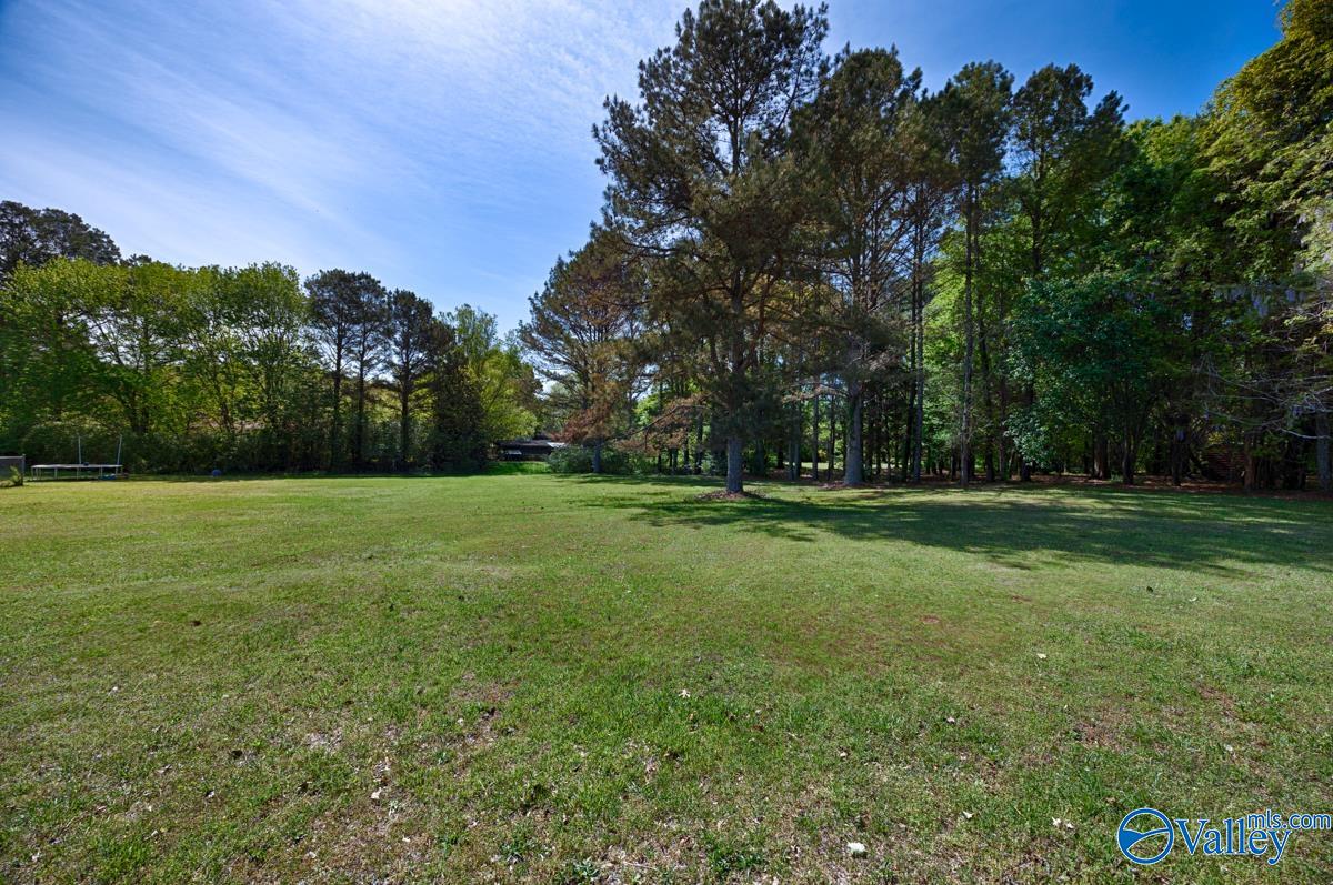 208 Bumblebee Drive, Harvest, Alabama image 36