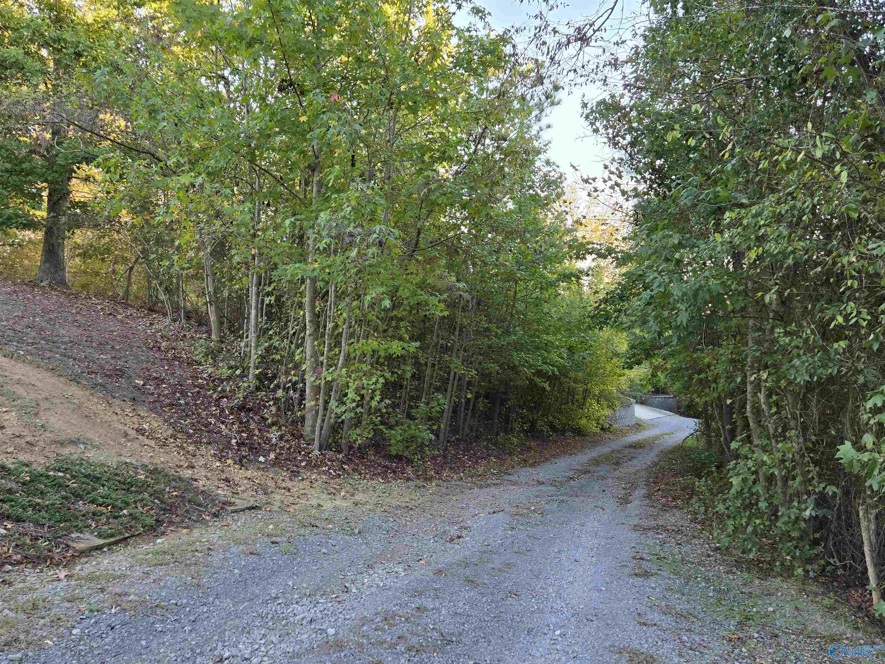 1783 Lookout Mountain Drive, Scottsboro, Alabama image 7