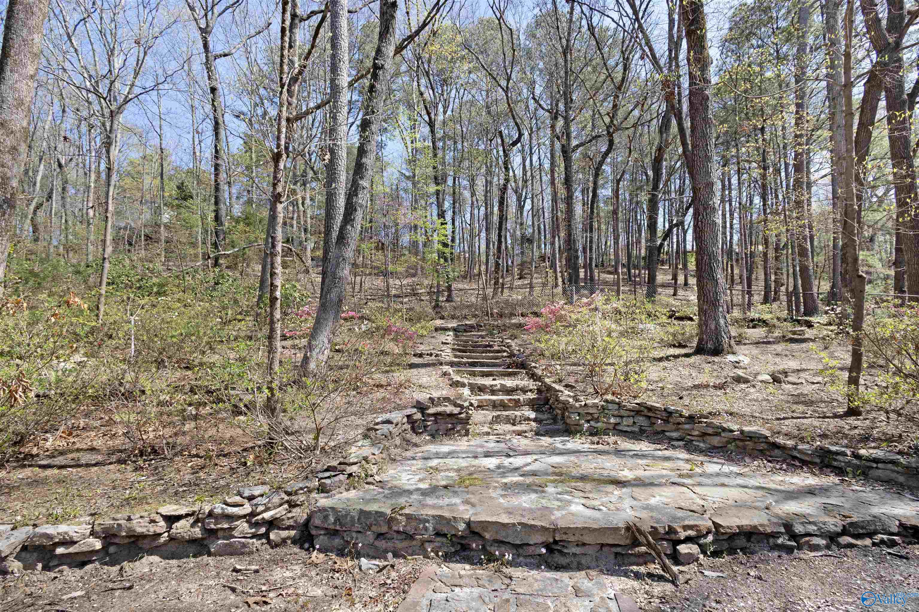 2806 Burningtree Mountain Road, Decatur, Alabama image 31