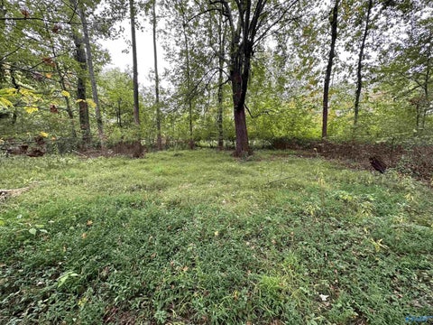 Vacant Land For Sale - LOT 37 Monte Sano Blvd<br/> Madison County, Huntsville, AL 35801
