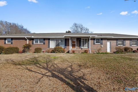 Homes For Sale - 55 County Road 462<br/> Geraldine, AL 35974