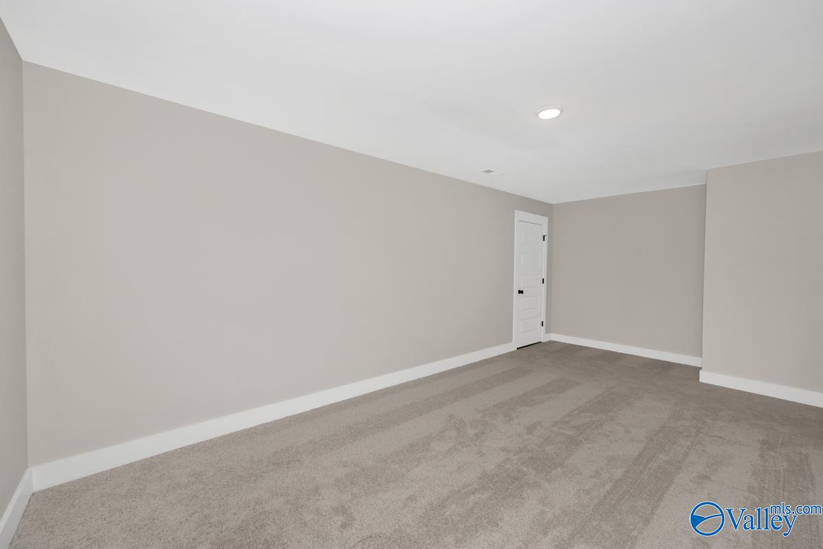 111 Mayapple Trail, Madison, Alabama image 43