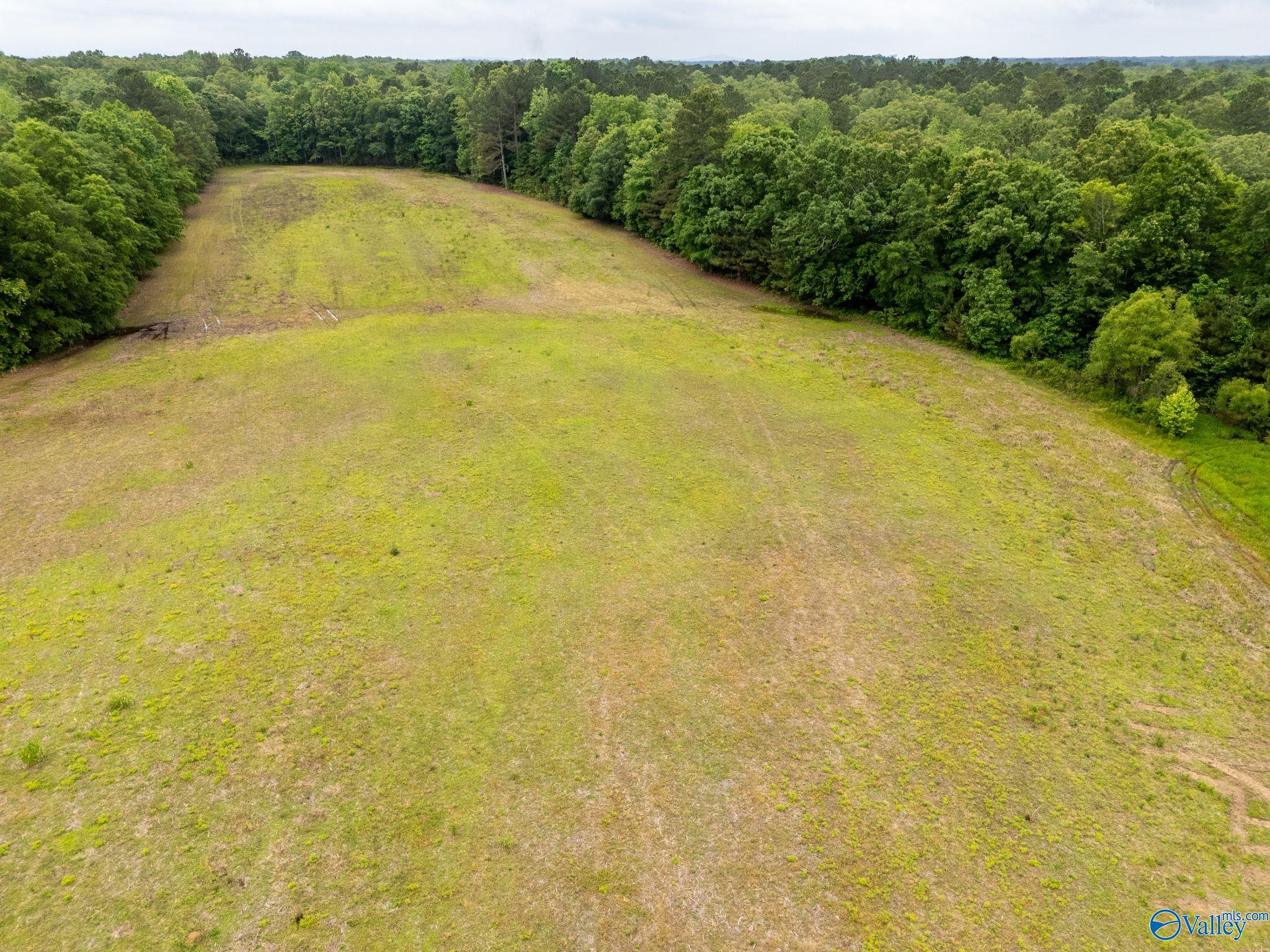 70 Pepper Road, Taft, Tennessee image 6
