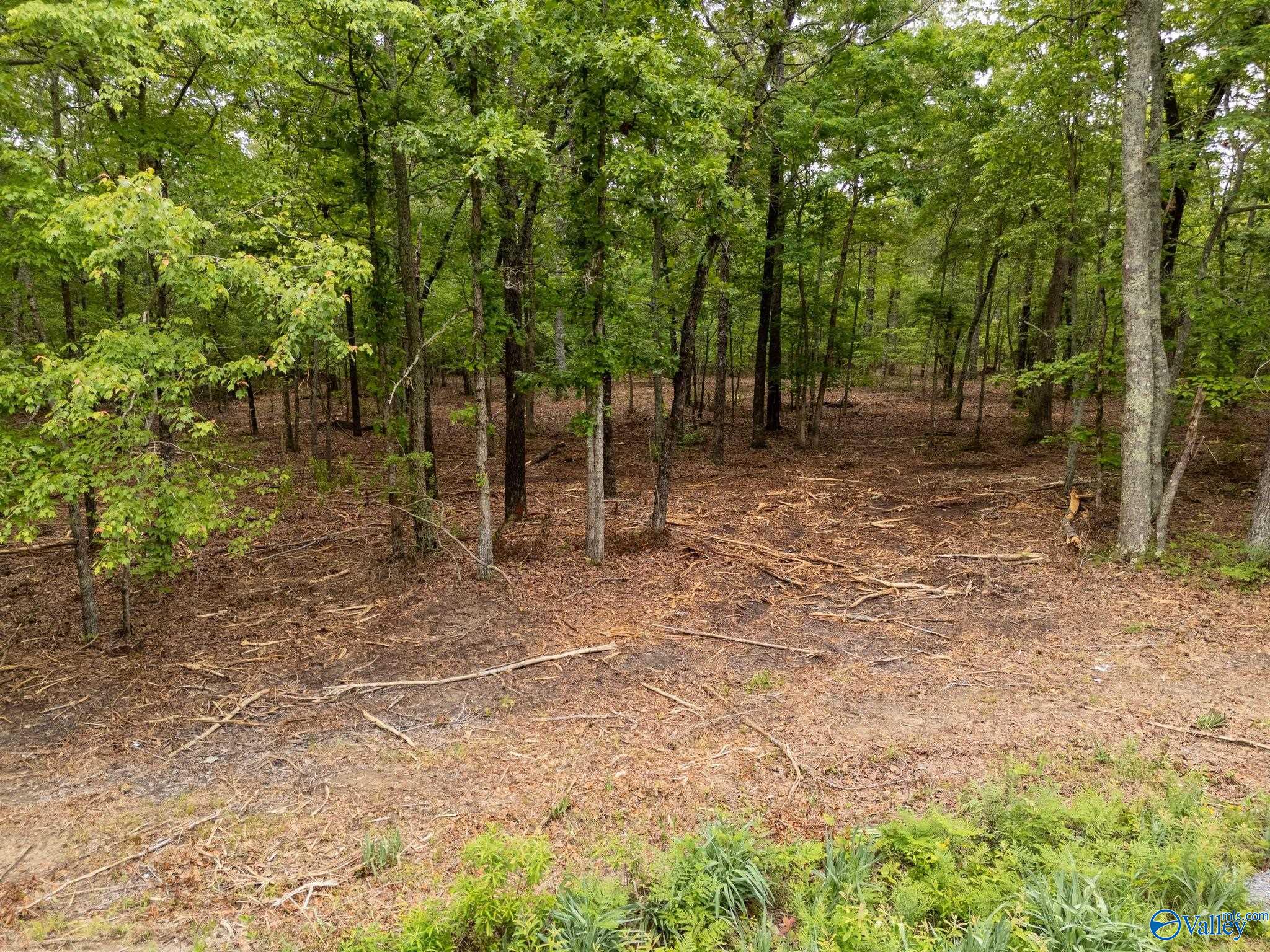 70 Pepper Road, Taft, Tennessee image 7
