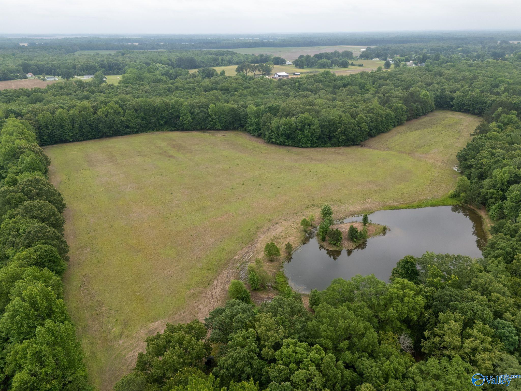 70 Pepper Road, Taft, Tennessee image 3
