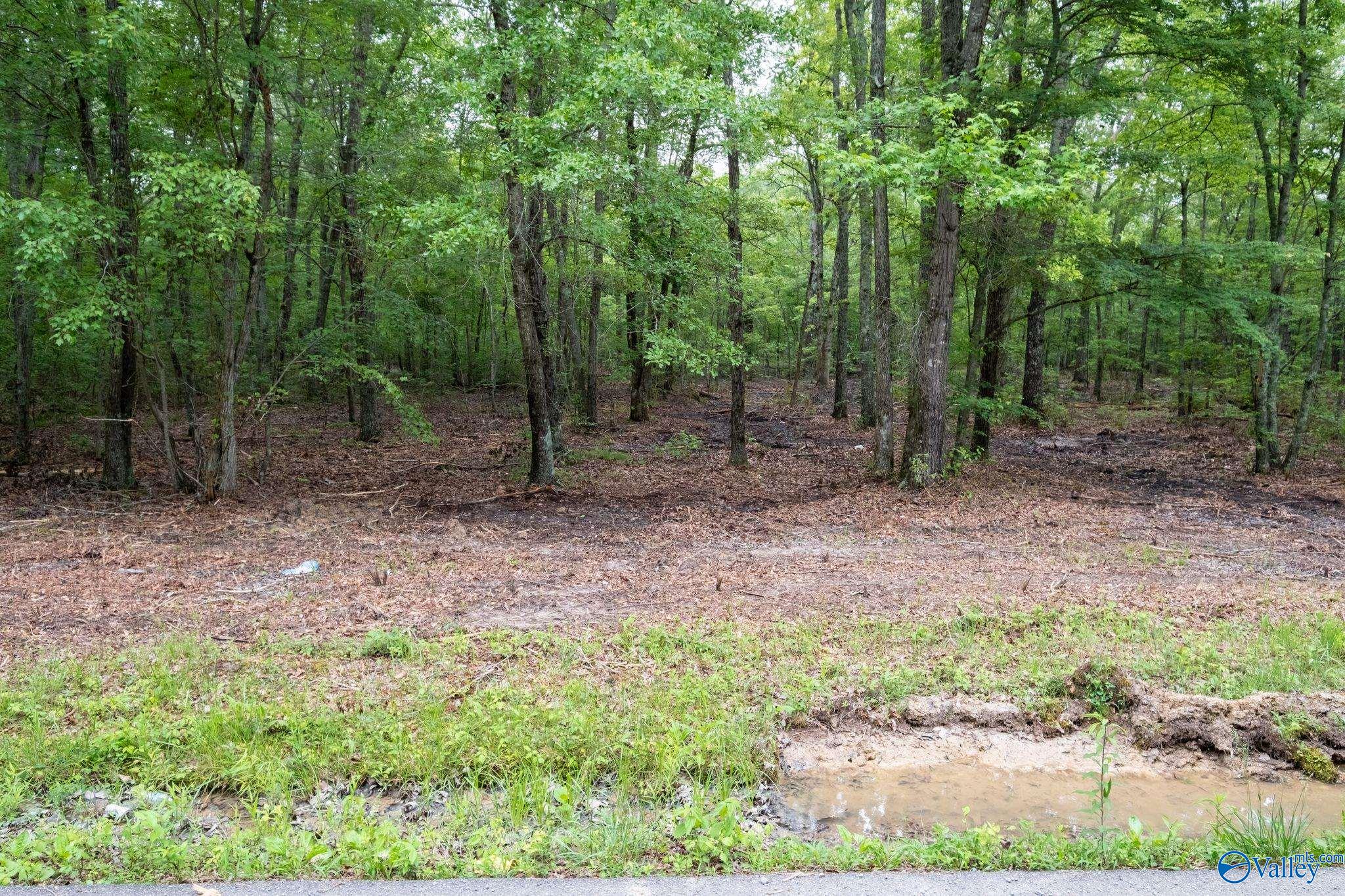 70 Pepper Road, Taft, Tennessee image 13