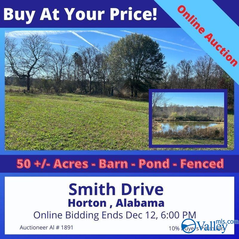 50 ACres Smith Drive, Horton, Alabama image 1