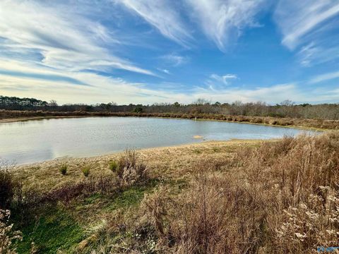 Vacant Land For Sale - 36 AC Brown Road<br/> Marshall County, Boaz, AL 35957