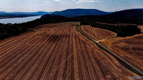 Vacant Land For Sale - 1056 Mccutcheon Loop Road<br/> Laceys Spring, AL 35754