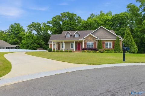 Photo of 175 Glenview Drive, Albertville, AL 35950 (MLS # 21916885)