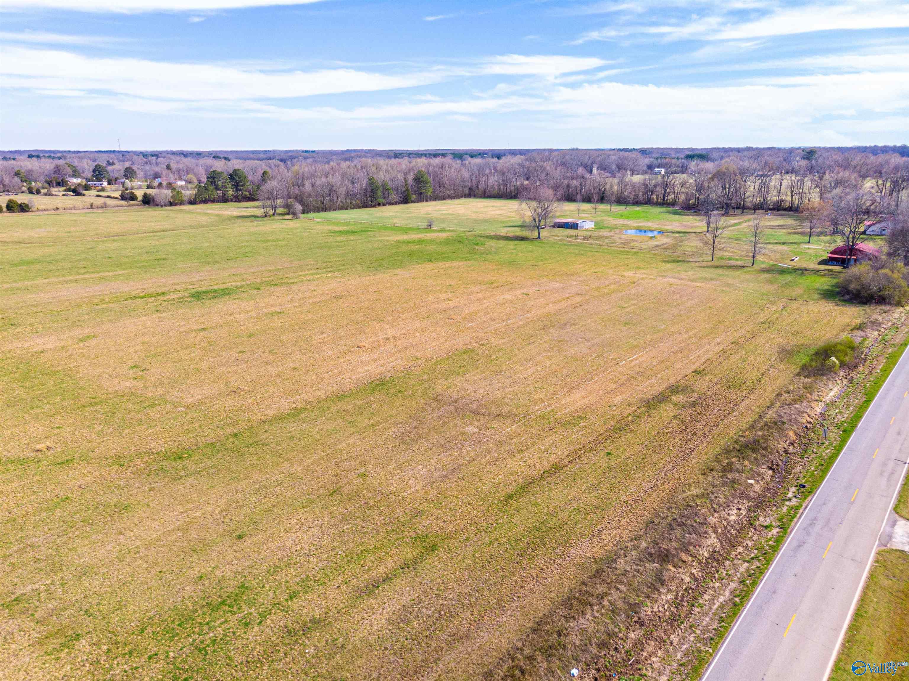 Tract 3 County Road 51, Rogersville, Alabama image 14